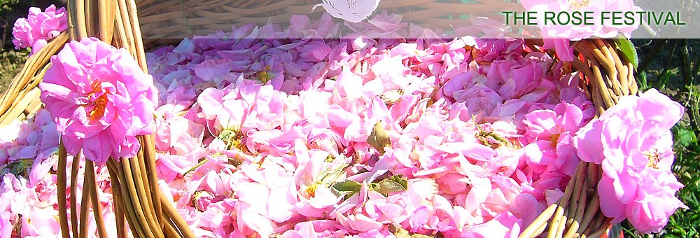 The Rose Festival