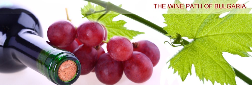 The Wine Path of Bulgaria