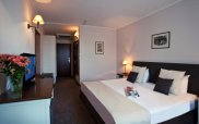 Interhotel Sandanski Double Room